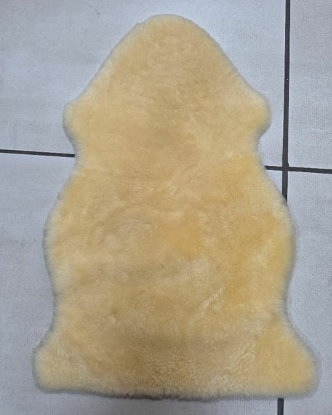 Picture of Sheep Skin Wool-on Medical Gr